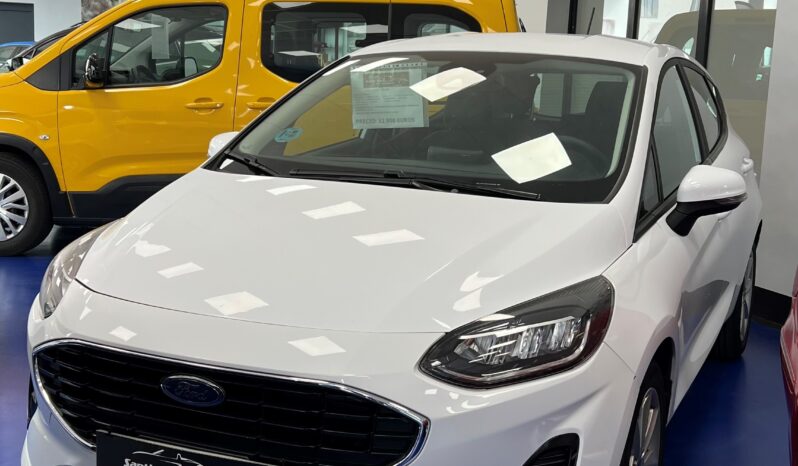 FORD FIESTA TREND lleno